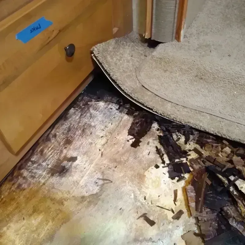 Best Wood Floor Water Damage Service in Granville, IL